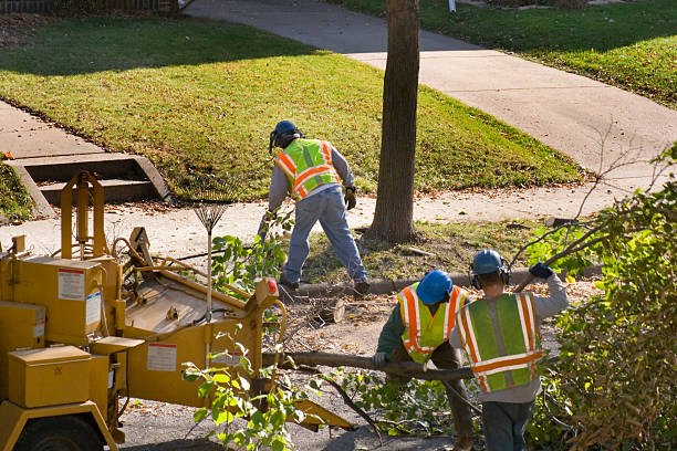 Seasonal Cleanup in Minier, IL